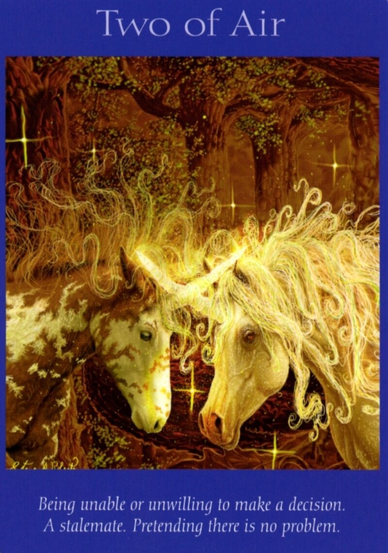 エンジェルオラクルカード II フェアリータロットカード エンジェル